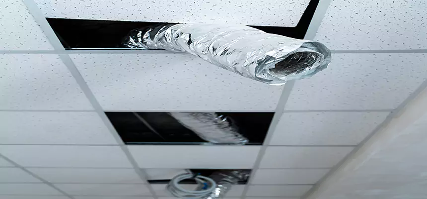 Our Air Duct Pet Hair Removal Services in Thornton, CO