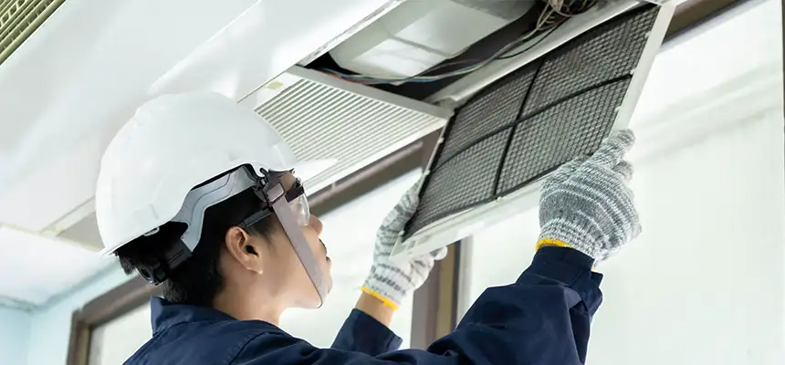 Our Lint Trap Cleaning Service Services in Thornton, CO