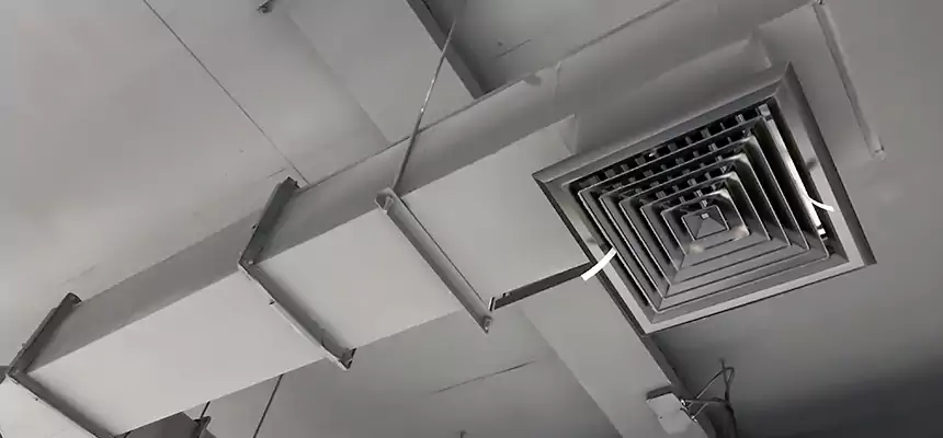 Our Rodent Droppings In Vents Services in Thornton, CO