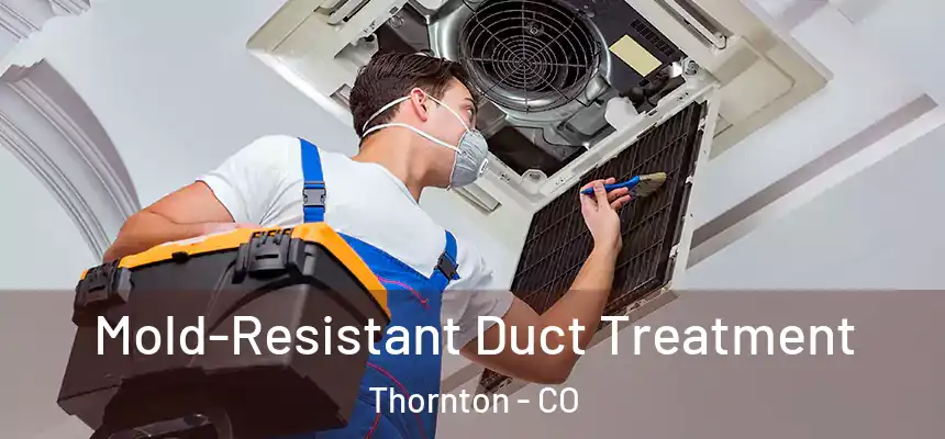 Mold-Resistant Duct Treatment Thornton - CO