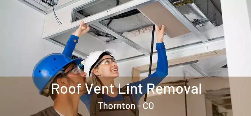  Roof Vent Lint Removal Thornton - CO