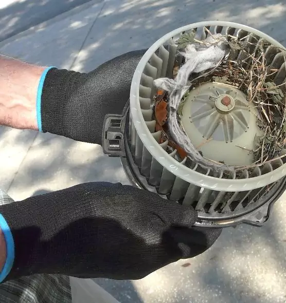 About Air Duct Mice Removal in Thornton, CO