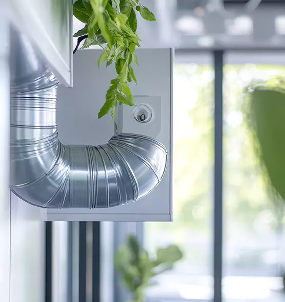 Professional Eco-Safe Dryer Vent Cleaning in Thornton, CO