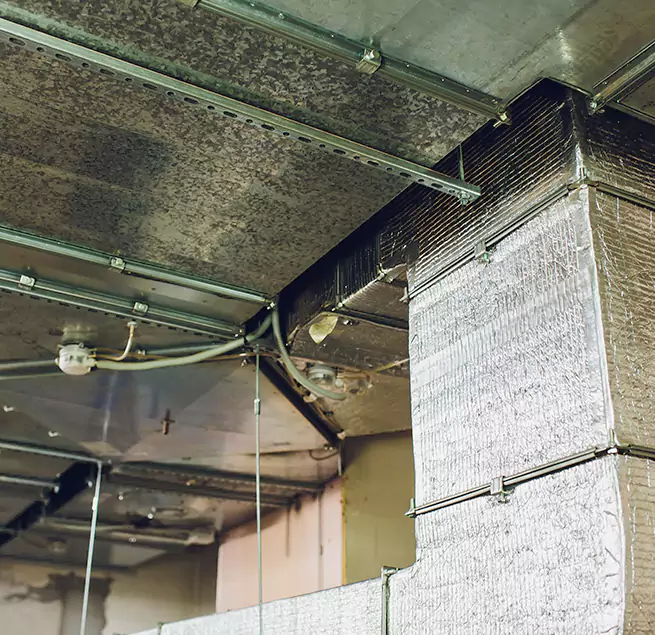 Why Homeowners & Businesses Trust Us in Thornton, CO?